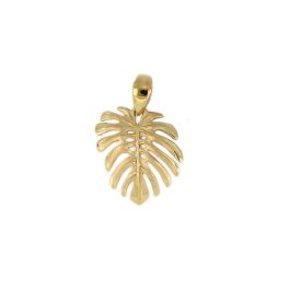 philodendron ring of fire variegated Philodendron Ring Of Fire main image 0